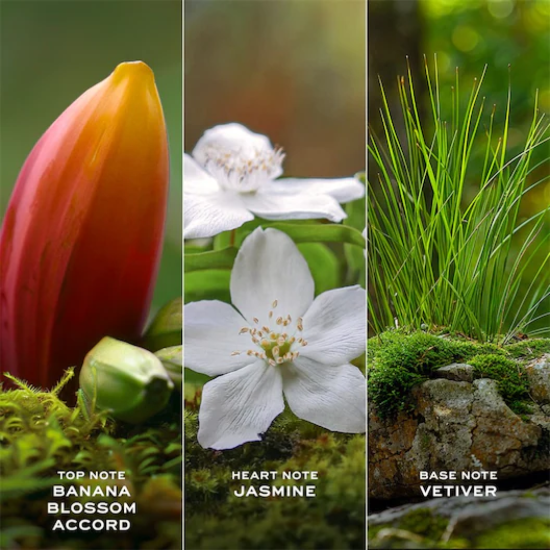 Daisy Wild Shower Gel